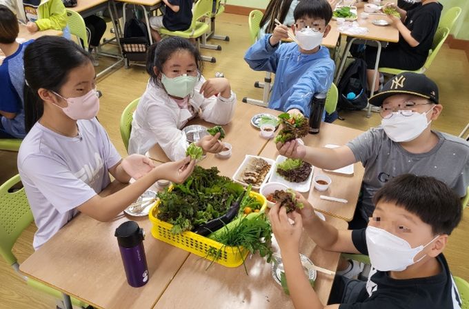 안양과천교육지원청 삼성초등학교, 5학년 도시농부 체험 활동 결실... 쌈으로 꽃 피워