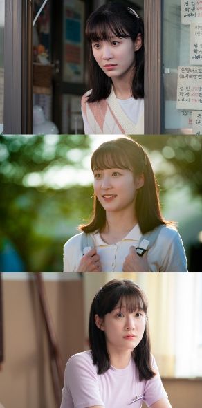 사진 제공: 아크미디어