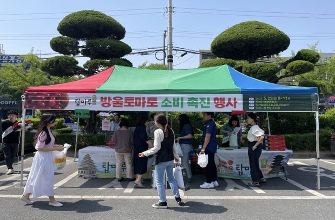 “농가와 함께해요!”...익산시 토마토 소비 촉진 ‘성황’