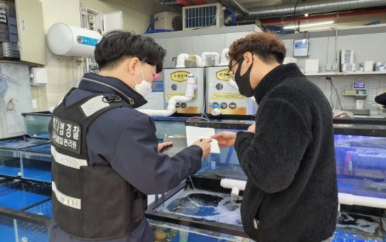 수산물 원산지 표시 점검·단속