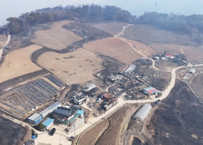 영양군, 산불 피해 농가에 신속한 지원을 위해 TF팀 구성