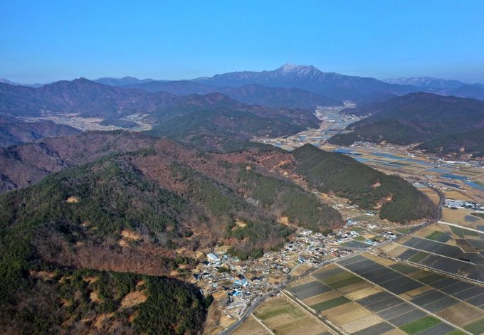 “고령 본관리 고분군” 경상북도 기념물 지정