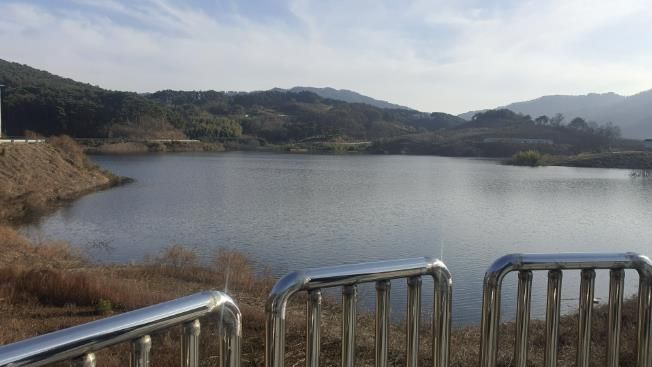 금학저수지 전경